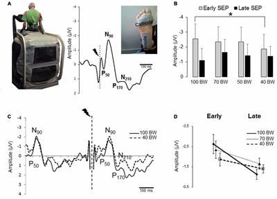 Plantar Sole Unweighting Alters the <mark class="highlighted">Sensory Transmission</mark> to the Cortical Areas